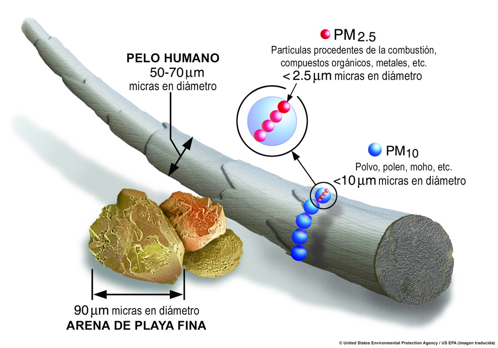 Como se ven los diferentes tamaños de partículas PM10 y PM2.5
