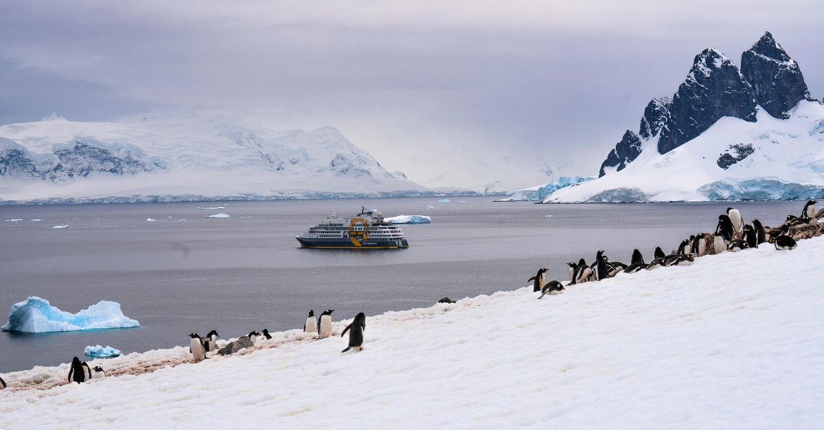 Aparición de contaminantes emergentes en la antártida
